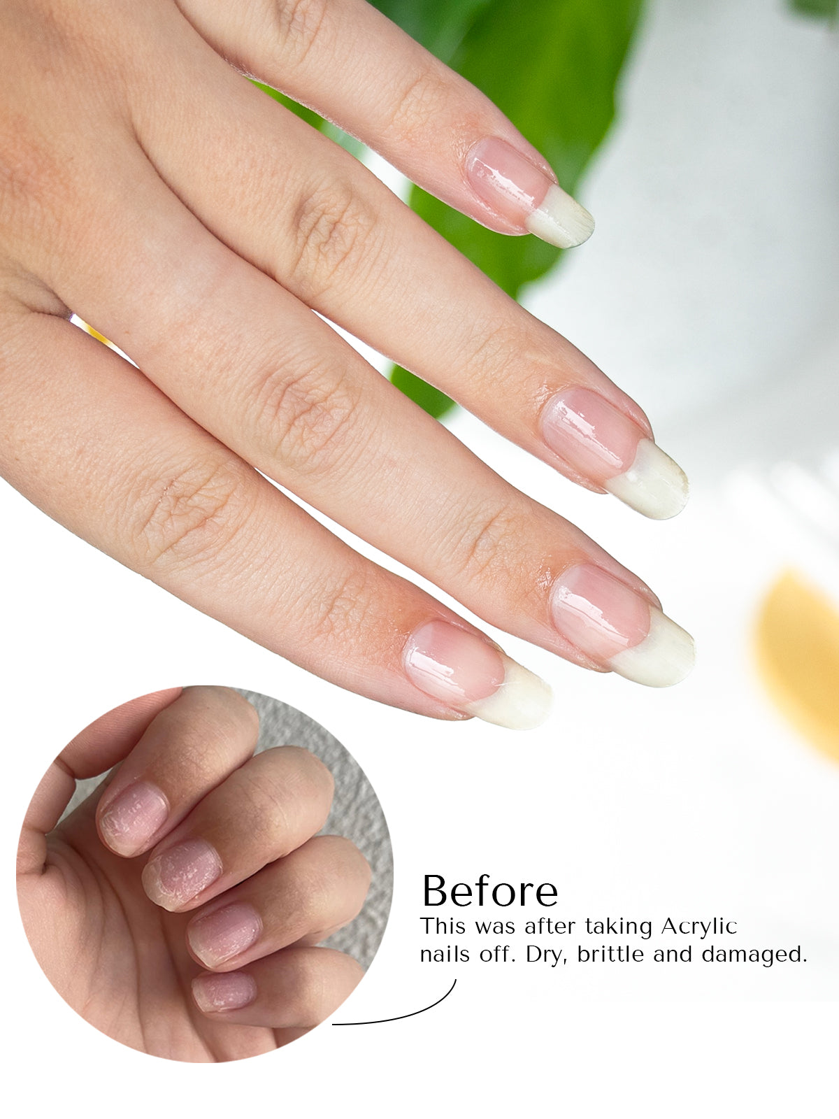 Nail Growth & Strength Serum | 15ml Dropper